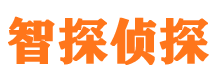 叶城外遇出轨调查取证